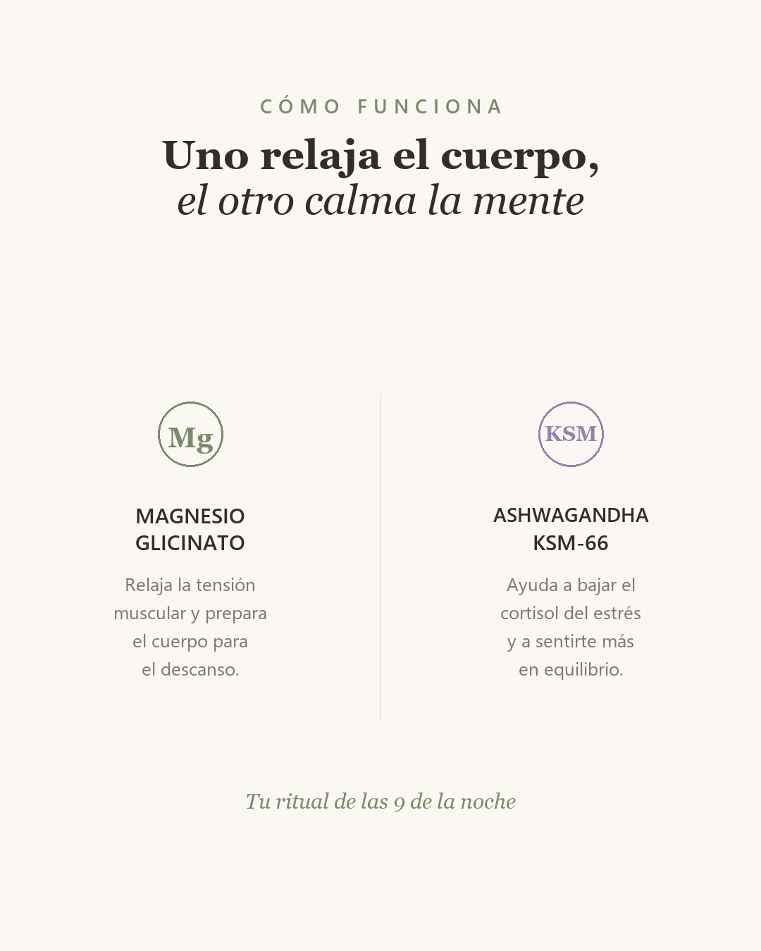 Descanso & Equilibrio™ — Magnesio + Ashwagandha