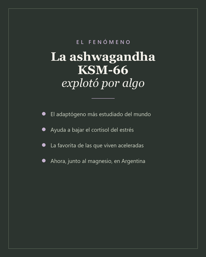 Descanso & Equilibrio™ — Magnesio + Ashwagandha