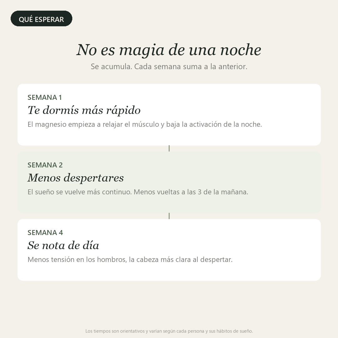 Descanso & Equilibrio™ — Magnesio + Ashwagandha